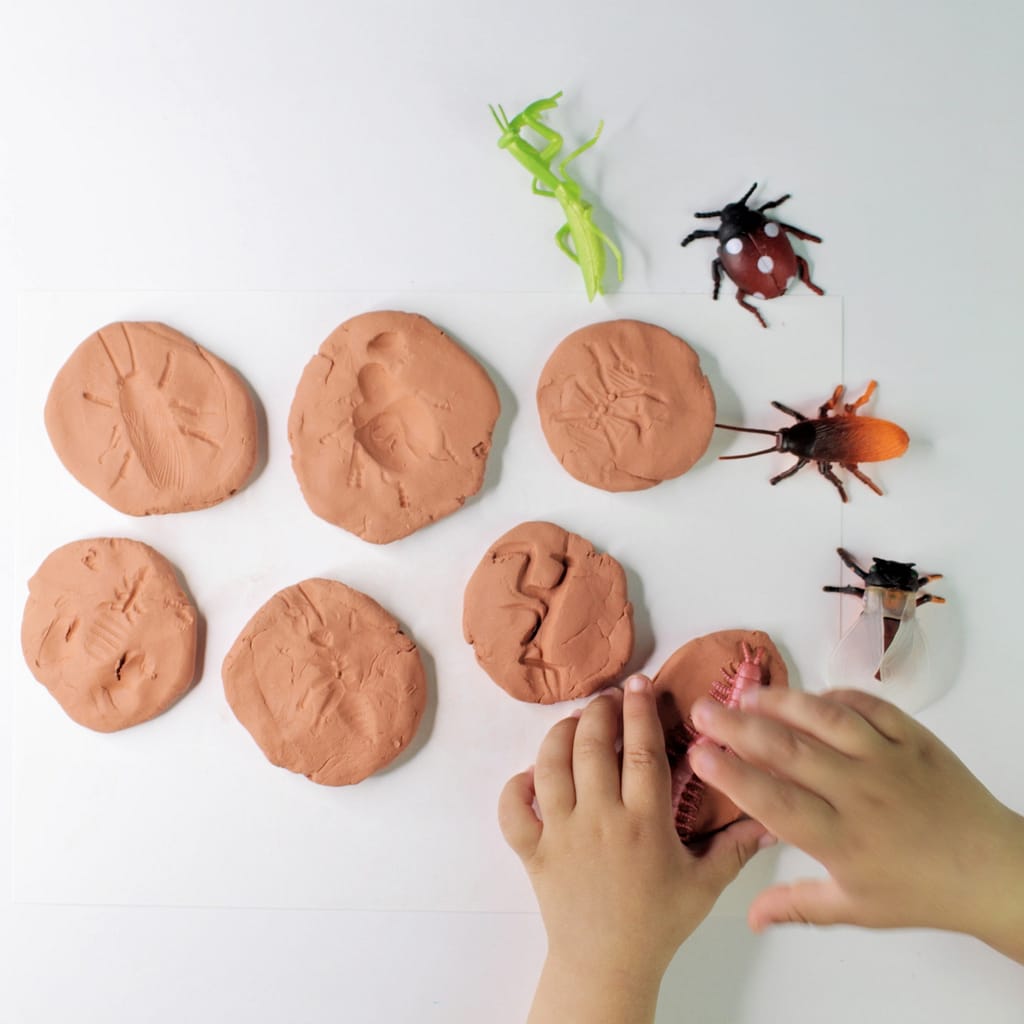 Clay Texture Bugs  Clay art projects, Clay art, Clay