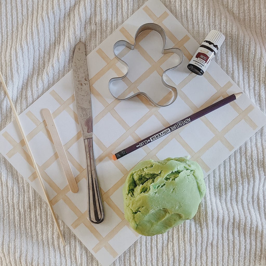 homemade-play-dough-with-thieves_ Material flat Lay _ Abbie Ulstad _ GGH