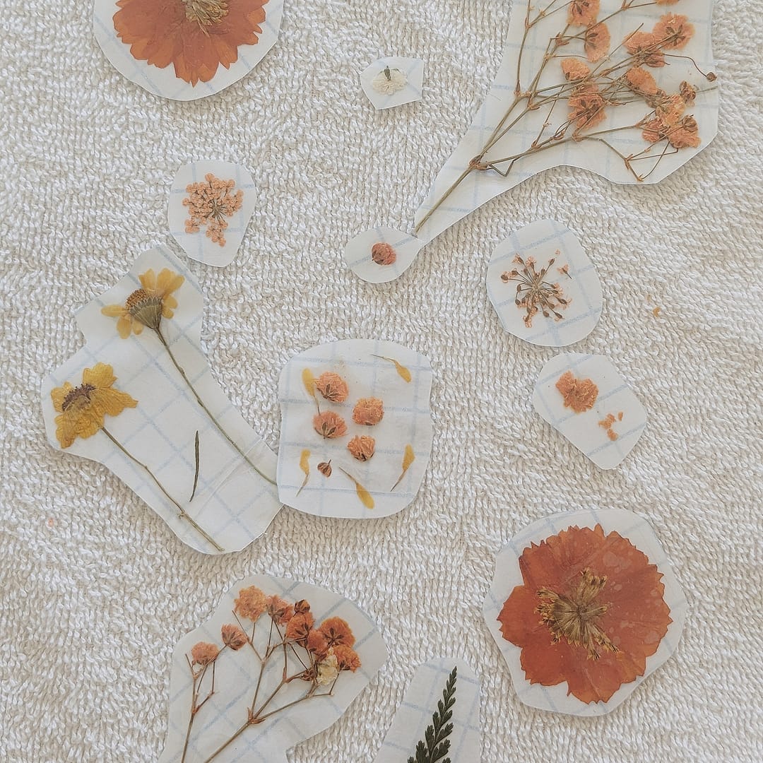 DIY Nature Stickers _ Completed Stickers _ Abbie Ulstad _ GGH